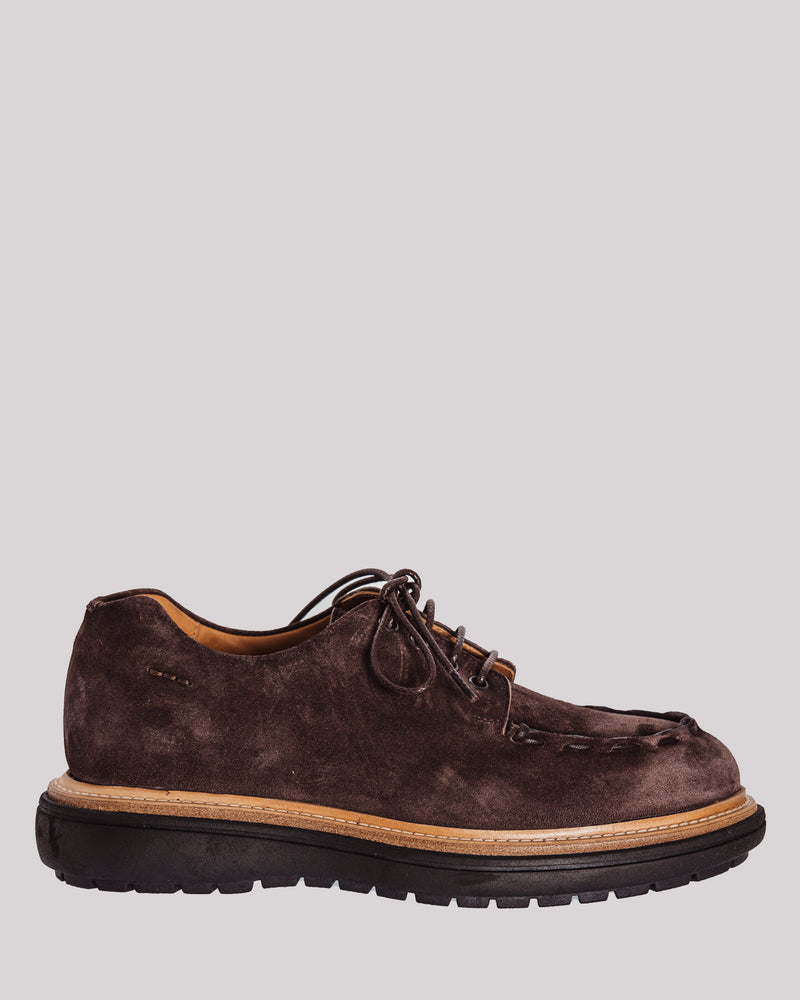 Scarpa Alexander Hotto in suede testa moro